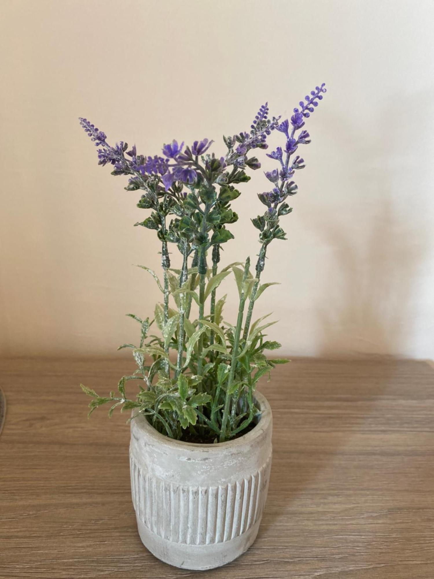 Helena Apartman Cserszegtomaj Luaran gambar