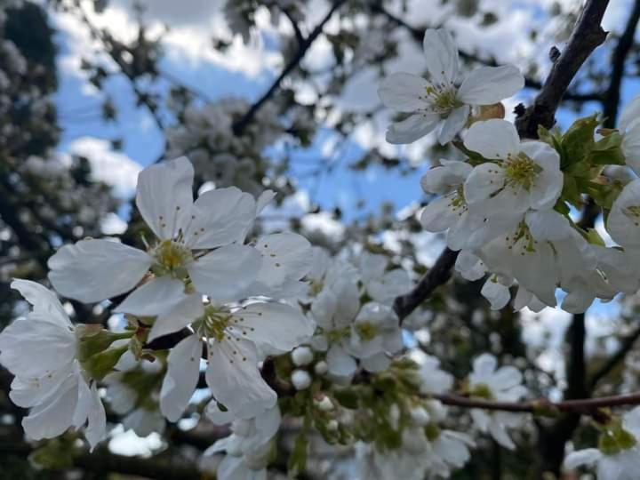 Helena Apartman Cserszegtomaj Luaran gambar